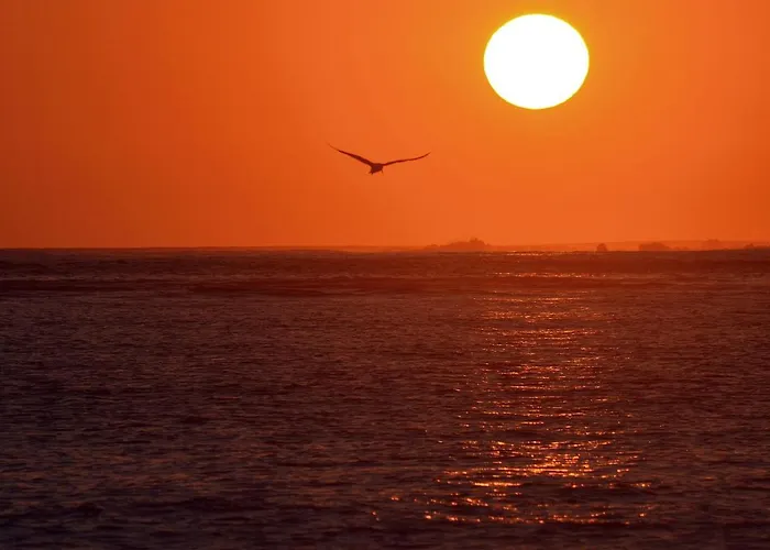 Sunset Chill Out *